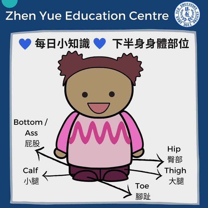 下半身身體部位英文詞彙:hip、thigh、calf 點分?